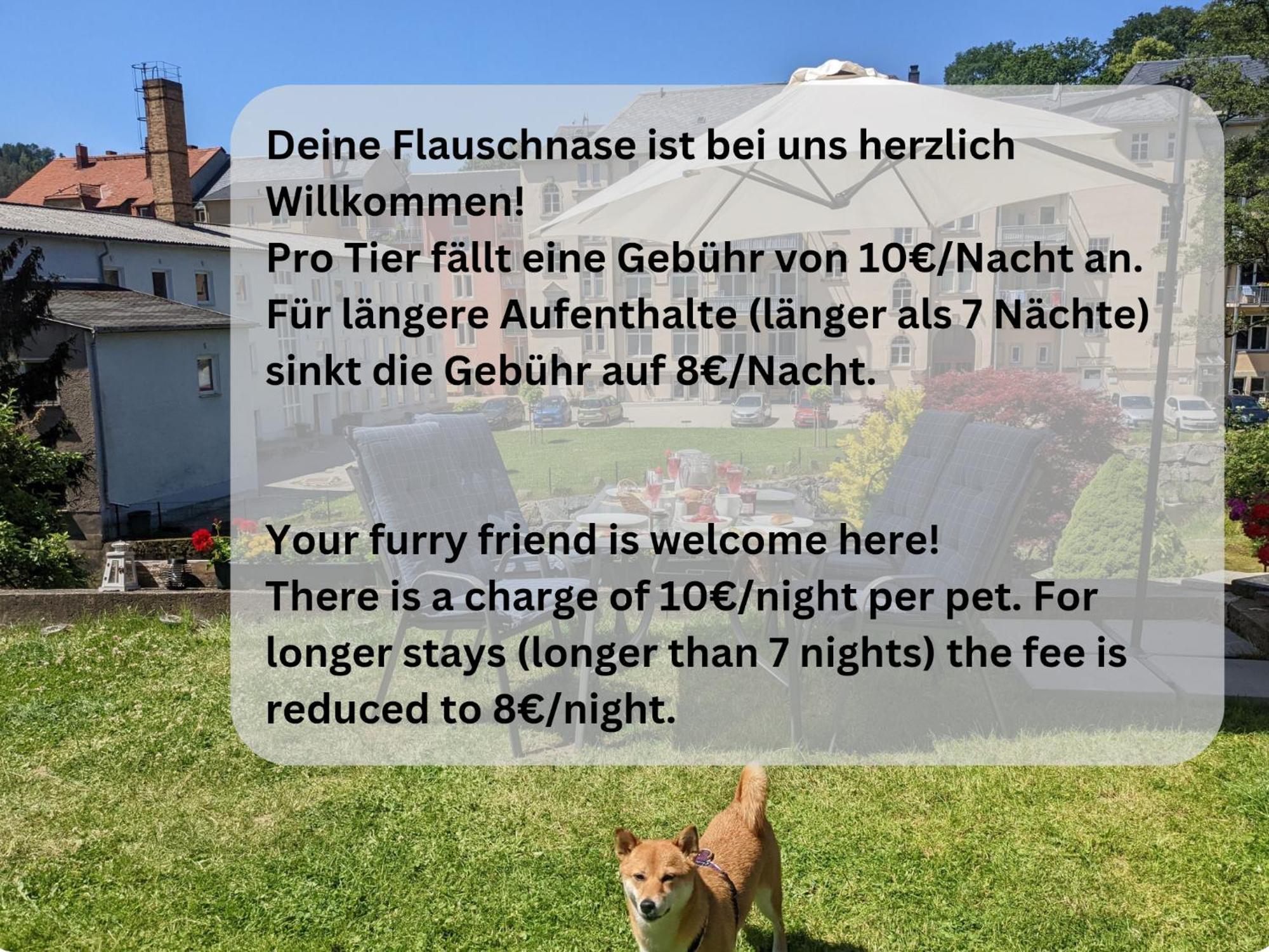 Hw1 - Urlaubsmagie - Sauna&Whirlpool Zum Entspannen 赛博尼茨 外观 照片